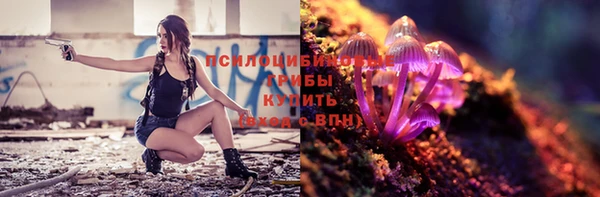 гашиш Новодвинск