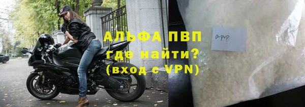 гашик Алексеевка