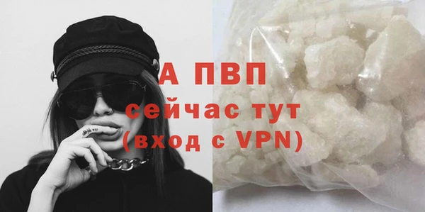 твердый Алексин