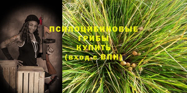 герыч Абаза